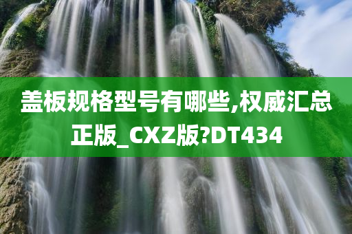 盖板规格型号有哪些,权威汇总正版_CXZ版?DT434