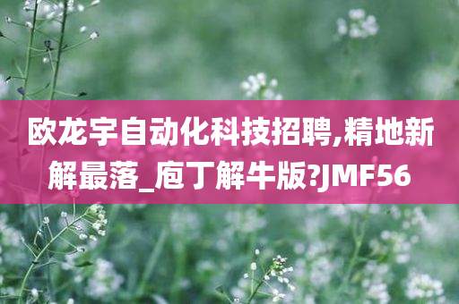 欧龙宇自动化科技招聘,精地新解最落_庖丁解牛版?JMF56