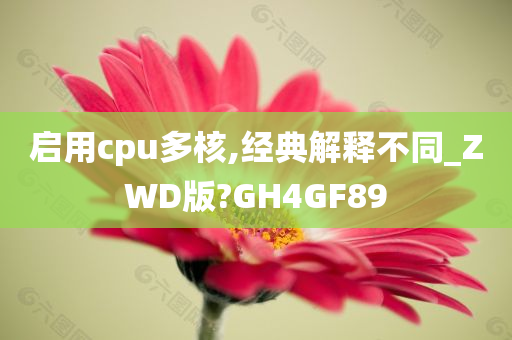 启用cpu多核,经典解释不同_ZWD版?GH4GF89