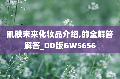 肌肤未来化妆品介绍,的全解答解答_DD版GW5656