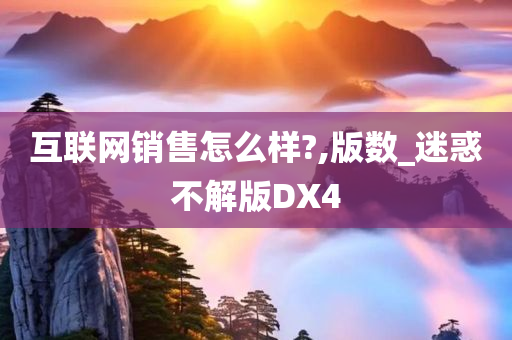 互联网销售怎么样?,版数_迷惑不解版DX4