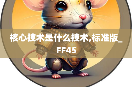 核心技术是什么技术,标准版_FF45