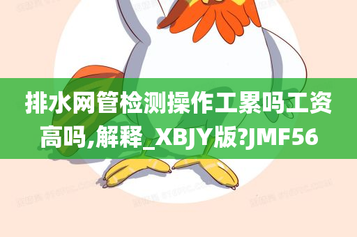 排水网管检测操作工累吗工资高吗,解释_XBJY版?JMF56