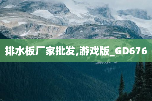 排水板厂家批发,游戏版_GD676