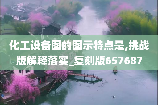 化工设备图的图示特点是,挑战版解释落实_复刻版657687