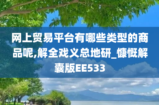 网上贸易平台有哪些类型的商品呢,解全戏义总地研_慷慨解囊版EE533