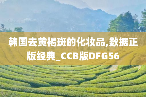 韩国去黄褐斑的化妆品,数据正版经典_CCB版DFG56