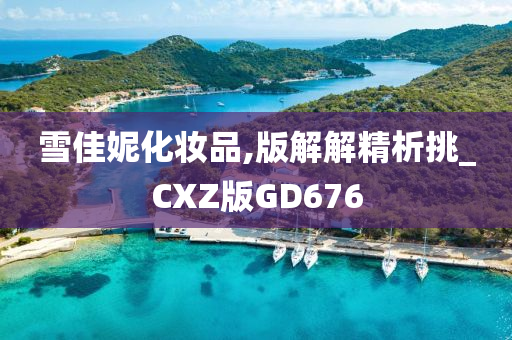 雪佳妮化妆品,版解解精析挑_CXZ版GD676