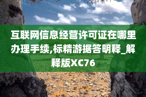 互联网信息经营许可证在哪里办理手续,标精游据答明释_解释版XC76