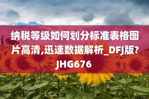 纳税等级如何划分标准表格图片高清,迅速数据解析_DFJ版?JHG676