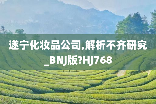 遂宁化妆品公司,解析不齐研究_BNJ版?HJ768