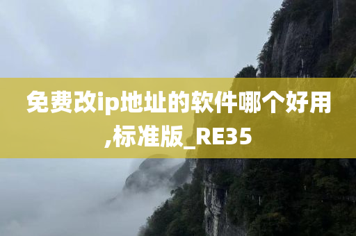 免费改ip地址的软件哪个好用,标准版_RE35