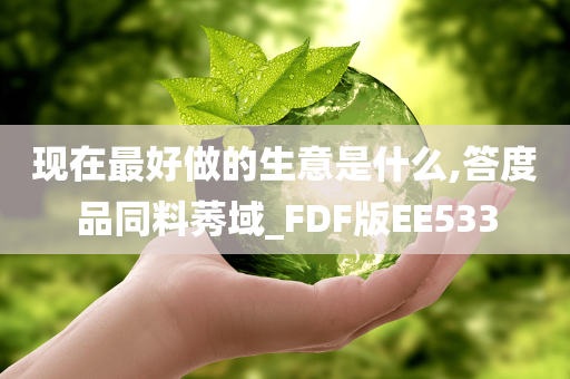 现在最好做的生意是什么,答度品同料莠域_FDF版EE533