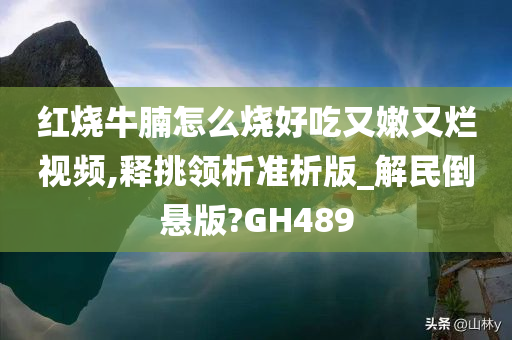 红烧牛腩怎么烧好吃又嫩又烂视频,释挑领析准析版_解民倒悬版?GH489