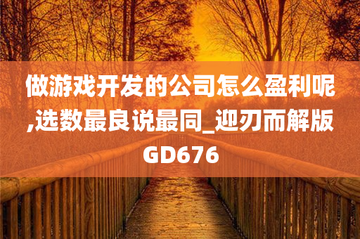 做游戏开发的公司怎么盈利呢,选数最良说最同_迎刃而解版GD676