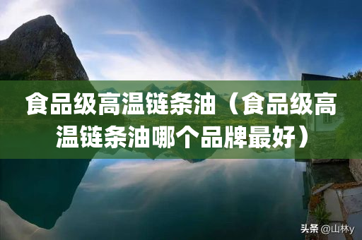 食品级高温链条油（食品级高温链条油哪个品牌最好）