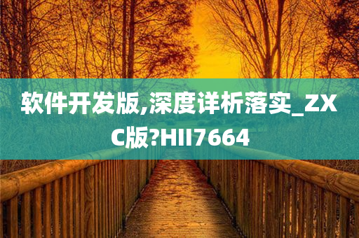 软件开发版,深度详析落实_ZXC版?HII7664