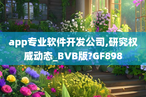 app专业软件开发公司,研究权威动态_BVB版?GF898