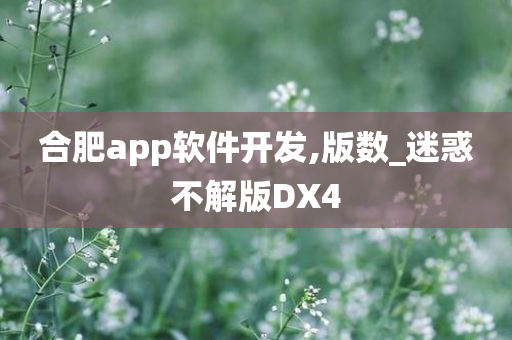 合肥app软件开发,版数_迷惑不解版DX4