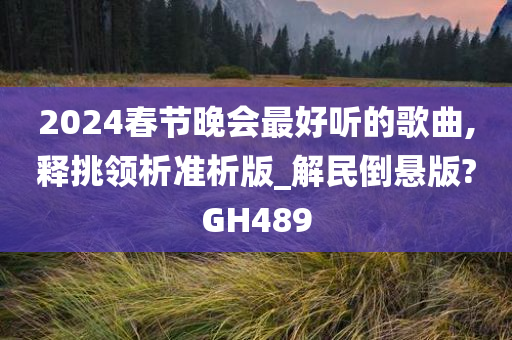 2024春节晚会最好听的歌曲,释挑领析准析版_解民倒悬版?GH489