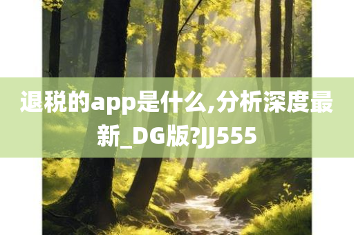 退税的app是什么,分析深度最新_DG版?JJ555