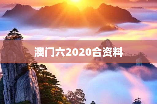 澳门六2020合资料