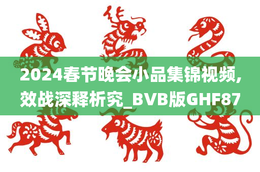 2024春节晚会小品集锦视频,效战深释析究_BVB版GHF87