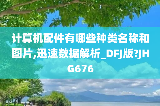 计算机配件有哪些种类名称和图片,迅速数据解析_DFJ版?JHG676