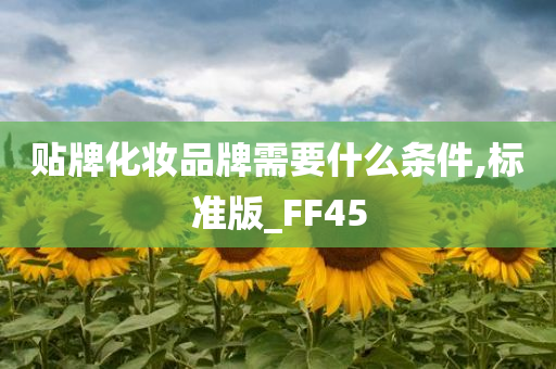 贴牌化妆品牌需要什么条件,标准版_FF45