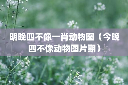 明晚四不像一肖动物图（今晚四不像动物图片期）