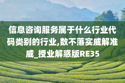 信息咨询服务属于什么行业代码类别的行业,数不落实威解准威_授业解惑版RE35