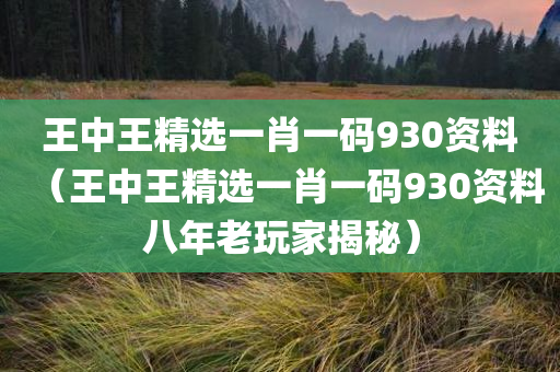 王中王精选一肖一码930资料（王中王精选一肖一码930资料八年老玩家揭秘）