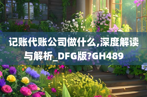 记账代账公司做什么,深度解读与解析_DFG版?GH489