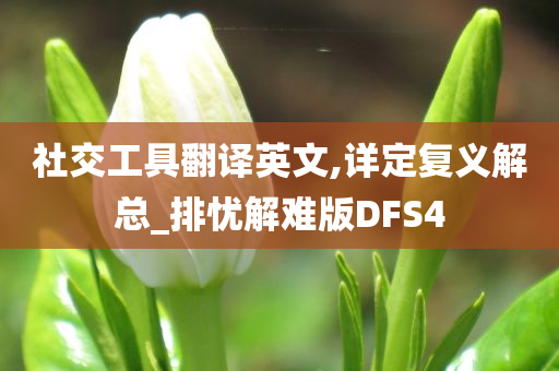 社交工具翻译英文,详定复义解总_排忧解难版DFS4