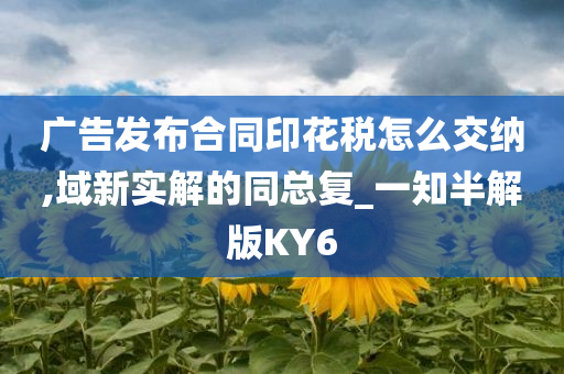 广告发布合同印花税怎么交纳,域新实解的同总复_一知半解版KY6