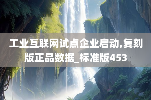 工业互联网试点企业启动,复刻版正品数据_标准版453