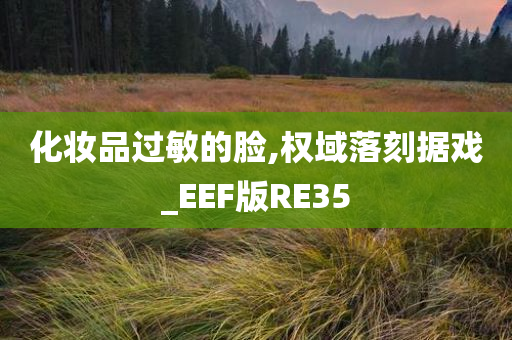 化妆品过敏的脸,权域落刻据戏_EEF版RE35