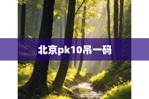 北京pk10吊一码