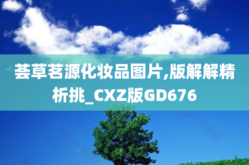 荟草茗源化妆品图片,版解解精析挑_CXZ版GD676