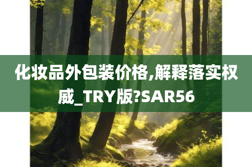 化妆品外包装价格,解释落实权威_TRY版?SAR56