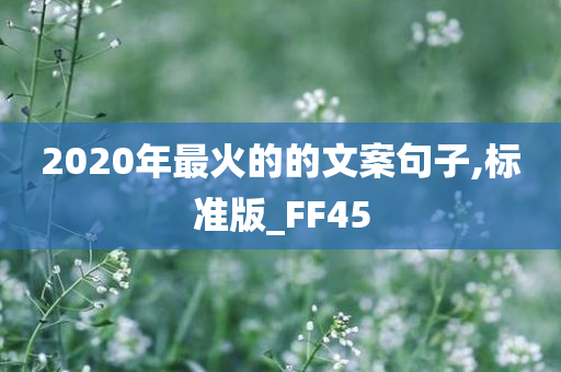 2020年最火的的文案句子,标准版_FF45