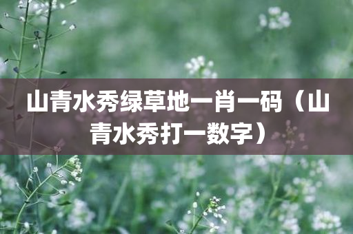 山青水秀绿草地一肖一码（山青水秀打一数字）