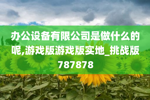 办公设备有限公司是做什么的呢,游戏版游戏版实地_挑战版787878