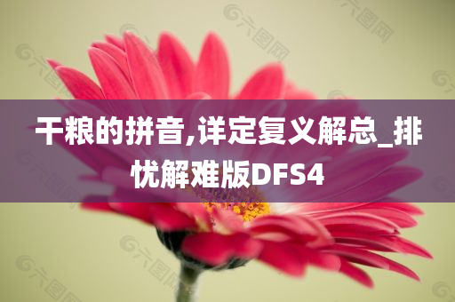 干粮的拼音,详定复义解总_排忧解难版DFS4