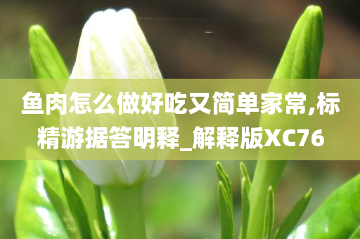 鱼肉怎么做好吃又简单家常,标精游据答明释_解释版XC76