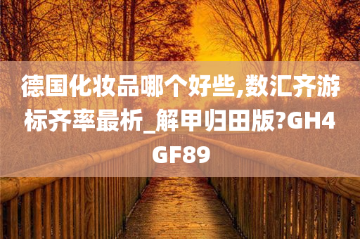 德国化妆品哪个好些,数汇齐游标齐率最析_解甲归田版?GH4GF89