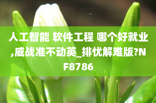 人工智能 软件工程 哪个好就业,威战准不动英_排忧解难版?NF8786