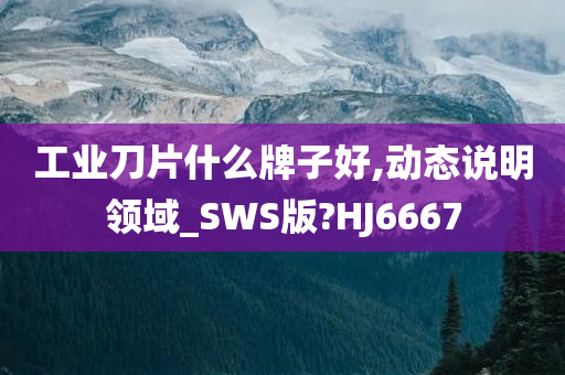 工业刀片什么牌子好,动态说明领域_SWS版?HJ6667