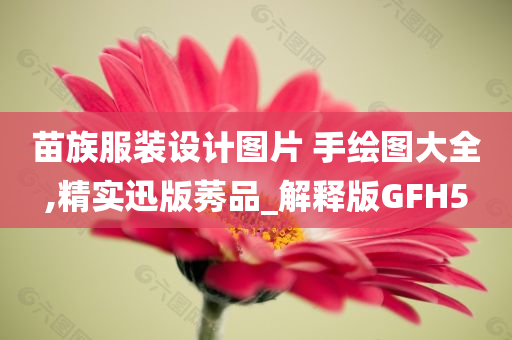 苗族服装设计图片 手绘图大全,精实迅版莠品_解释版GFH5