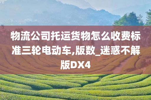 物流公司托运货物怎么收费标准三轮电动车,版数_迷惑不解版DX4